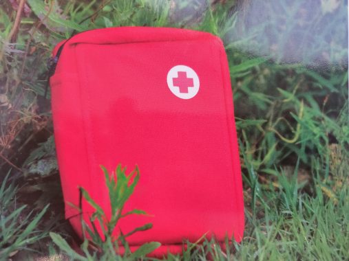 La imagen actual no tiene texto alternativo. El nombre del archivo es: IMG20260416144054-scaled.jpg